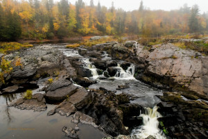 Foggy Fall Day Jay Cooke State Park