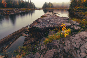 Fall Rocky River-Jay Cooke State Park